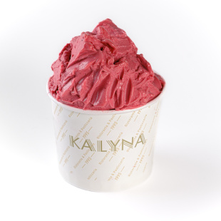 Сорбет лесная ягода