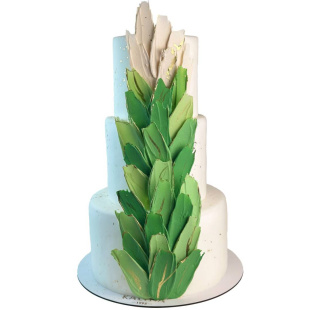 Торт Шоколадні пір'я омбре