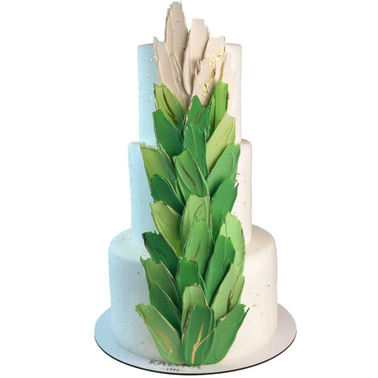 Торт Шоколадні пір'я омбре